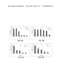 ISOLATED DNA FRAGMENT OF THE HUMAN A33 PROMOTER AND ITS USE TO CONTROL THE EXPRESSION OF A HETEROLOGOUS GENE IN TUMOR CELLS diagram and image