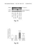 PREVENTION AND TREATMENT OF POST-OPERATIVE COGNITIVE DYSFUNCTION diagram and image