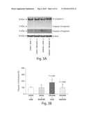 PREVENTION AND TREATMENT OF POST-OPERATIVE COGNITIVE DYSFUNCTION diagram and image