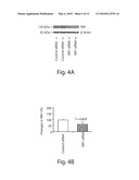 PREVENTION AND TREATMENT OF POST-OPERATIVE COGNITIVE DYSFUNCTION diagram and image