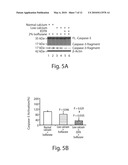 PREVENTION AND TREATMENT OF POST-OPERATIVE COGNITIVE DYSFUNCTION diagram and image