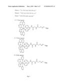 PHOTOREACTIVE RU (II) COMPLEXES ANCHORED ON OLIGONUCLEOTIDES, METHOD FOR OBTAINING THEM AND USE THEREOF diagram and image