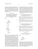 PRODRUGS OF EXCITATORY AMINO ACIDS diagram and image