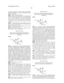 PRODRUGS OF EXCITATORY AMINO ACIDS diagram and image