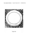 HIGH-AMYLOSE SODIUM CARBOXYMETHYL STARCH SUSTAINED RELEASE EXCIPIENT AND PROCESS FOR PREPARING THE SAME diagram and image