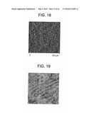 POLYMER BLENDS WITH ETHYLENE/a-OLEFIN INTERPOLYMERS diagram and image