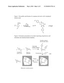 IMPRINTED POLYMERS diagram and image