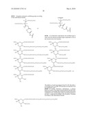 GLYCOPEGYLATED FACTOR VII AND FACTOR VIIA diagram and image