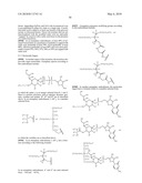 GLYCOPEGYLATED FACTOR VII AND FACTOR VIIA diagram and image