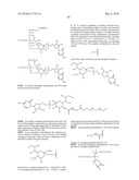 GLYCOPEGYLATED FACTOR VII AND FACTOR VIIA diagram and image