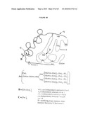 GLYCOPEGYLATED FACTOR VII AND FACTOR VIIA diagram and image