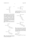 GLYCOPEGYLATED FACTOR VII AND FACTOR VIIA diagram and image