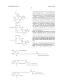 GLYCOPEGYLATED FACTOR VII AND FACTOR VIIA diagram and image