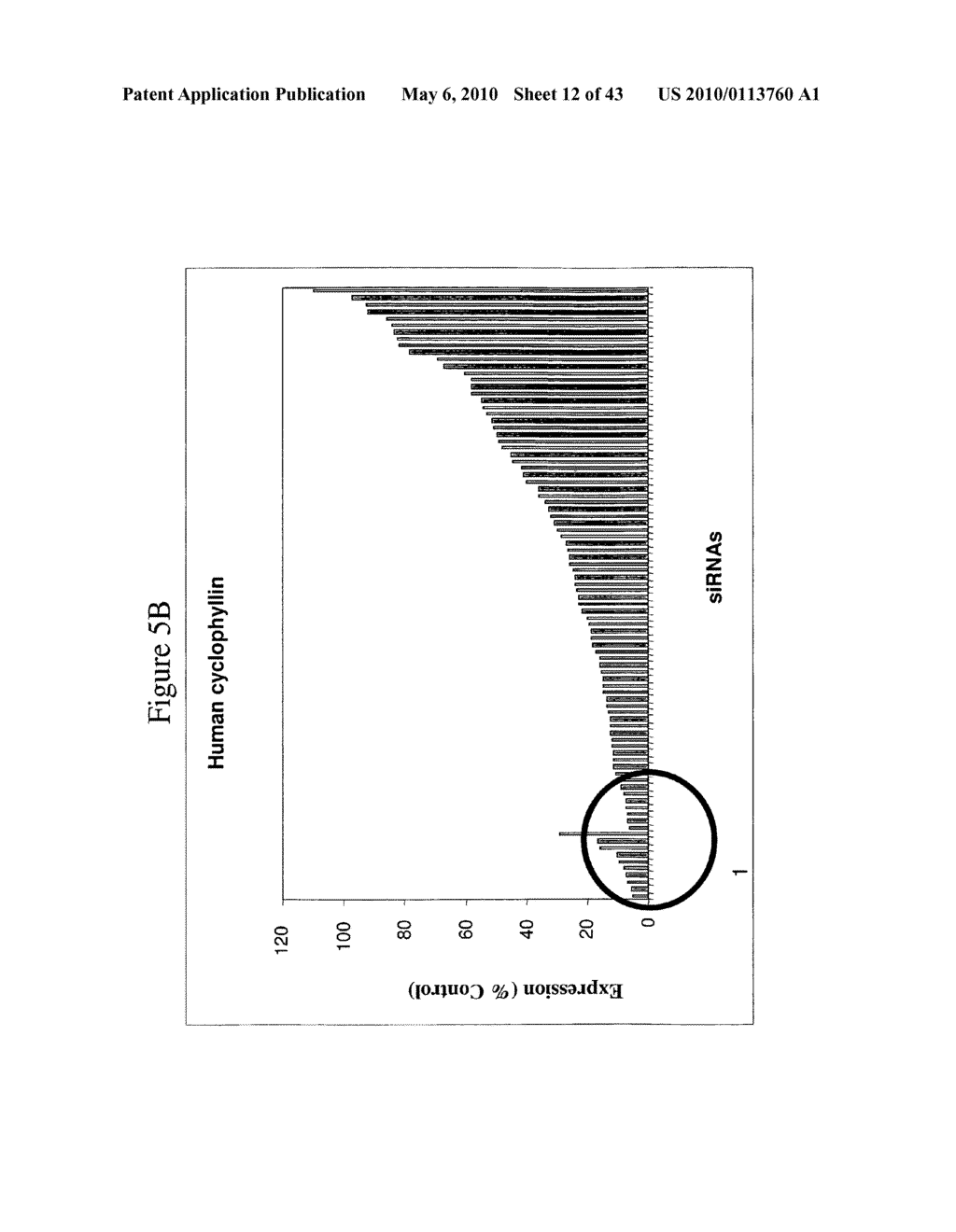 siRNA targeting myeloid differentiation primary response gene (88) (MYD88) - diagram, schematic, and image 13