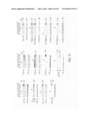 siRNA targeting myeloid differentiation primary response gene (88) (MYD88) diagram and image