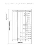 siRNA targeting myeloid differentiation primary response gene (88) (MYD88) diagram and image