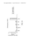 siRNA targeting myeloid differentiation primary response gene (88) (MYD88) diagram and image