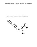 Process for preparing 5-biphenyl-4-amino-2-methyl pentanoic acid diagram and image