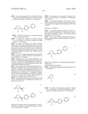 Process for preparing 5-biphenyl-4-amino-2-methyl pentanoic acid diagram and image