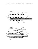 Gastrostomy-jejunostomy tube apparatus and method for endoscopically placing same within a patient diagram and image