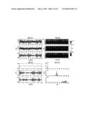 METHOD AND RHYTHM EXTRACTOR FOR DETECTING AND ISOLATING RHYTHMIC SIGNAL FEATURES FROM AN INPUT SIGNAL USING THE WAVELET PACKET TRANSFORM diagram and image