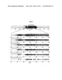 METHOD AND RHYTHM EXTRACTOR FOR DETECTING AND ISOLATING RHYTHMIC SIGNAL FEATURES FROM AN INPUT SIGNAL USING THE WAVELET PACKET TRANSFORM diagram and image