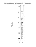 SEMICONDUCTOR MEMORY DEVICE AND METHOD OF OPERATING THE SEMICONDUCTOR MEMORY DEVICE diagram and image