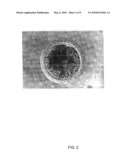 GFP-TRANSFECTED CLON PIG, GT KNOCK-OUT CLON PIG AND METHODS FOR PRODUCTIONS THEREOF diagram and image