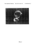 GFP-TRANSFECTED CLON PIG, GT KNOCK-OUT CLON PIG AND METHODS FOR PRODUCTIONS THEREOF diagram and image