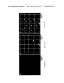 SCANNING PROBE EPITAXY diagram and image