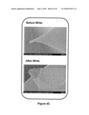 SCANNING PROBE EPITAXY diagram and image