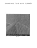 SCANNING PROBE EPITAXY diagram and image