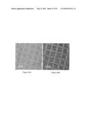 SCANNING PROBE EPITAXY diagram and image