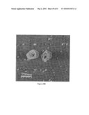 SCANNING PROBE EPITAXY diagram and image