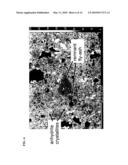 PROCESS FOR HOT-FORGING SYNTHETIC CERAMIC diagram and image