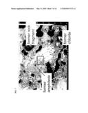 PROCESS FOR HOT-FORGING SYNTHETIC CERAMIC diagram and image