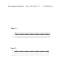 BACKLIGHTING SYSTEM FOR A 2D/3D AUTOSTEREOSCOPIC MULTIVIEW DISPLAY diagram and image