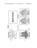 PORTAL AND REAL TIME IMAGING FOR TREATMENT VERIFICATION diagram and image