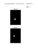 COMPOSITION OF LABELED AND NON-LABELED MONOCLONAL ANTIBODIES diagram and image