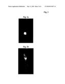 COMPOSITION OF LABELED AND NON-LABELED MONOCLONAL ANTIBODIES diagram and image