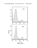 Therapeutic Use of CD31 Expressing Cells diagram and image