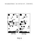 Therapeutic Use of CD31 Expressing Cells diagram and image