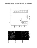 Therapeutic Use of CD31 Expressing Cells diagram and image