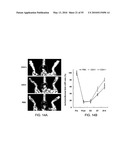 Therapeutic Use of CD31 Expressing Cells diagram and image