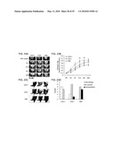 Therapeutic Use of CD31 Expressing Cells diagram and image