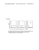 Therapeutic Use of CD31 Expressing Cells diagram and image