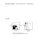 Therapeutic Use of CD31 Expressing Cells diagram and image