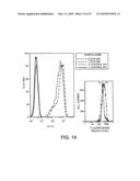 Telencephalic Glial-Restricted Cell Populations and Related Compositions and Methods diagram and image