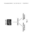 METHODS AND COMPOSITIONS RELATED TO MODULATING THE EXTRACELLULAR STEM CELL ENVIRONMENT diagram and image