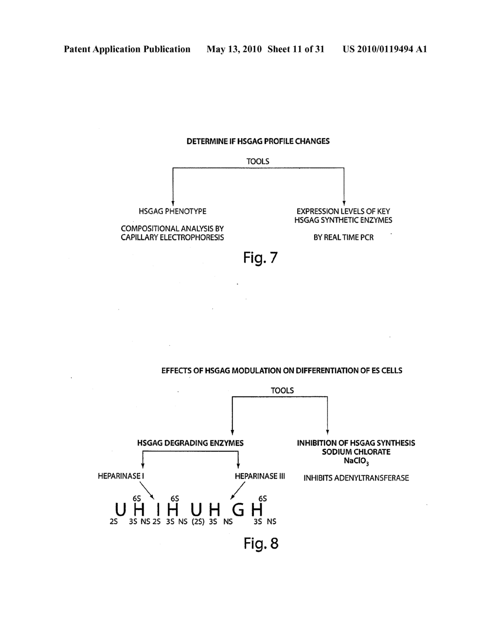 METHODS AND COMPOSITIONS RELATED TO MODULATING THE EXTRACELLULAR STEM CELL ENVIRONMENT - diagram, schematic, and image 12